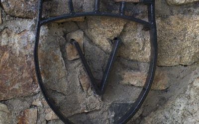 Bienvenidos a nuestra nueva página web